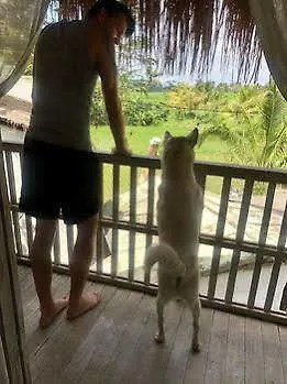 Séjour chez l'habitant Uma Nandhi Ubud Tegallalang (Bali)