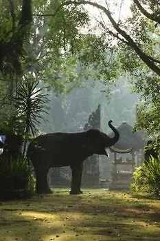 Uma Nandhi Ubud Séjour chez l'habitant Tegallalang (Bali)