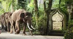 Uma Nandhi Ubud