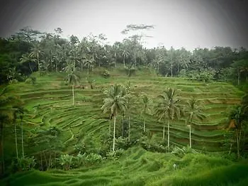 Uma Nandhi Ubud *