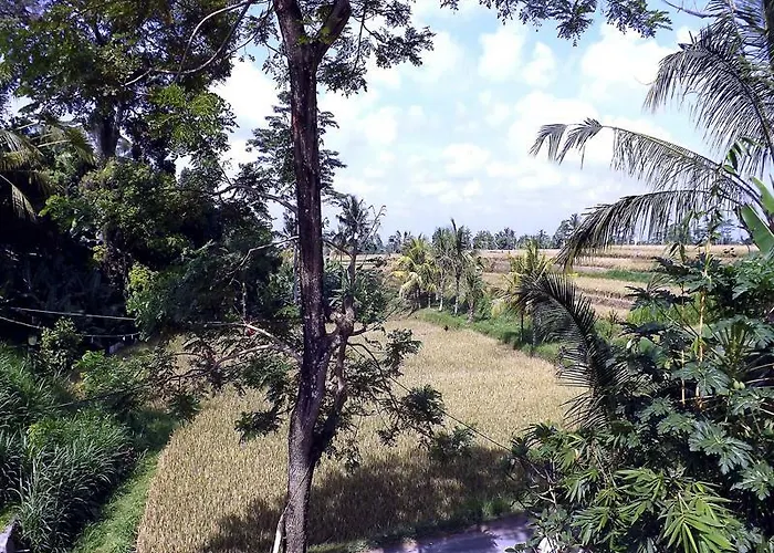 Uma Nandhi Ubud * Tegallalang (Bali)