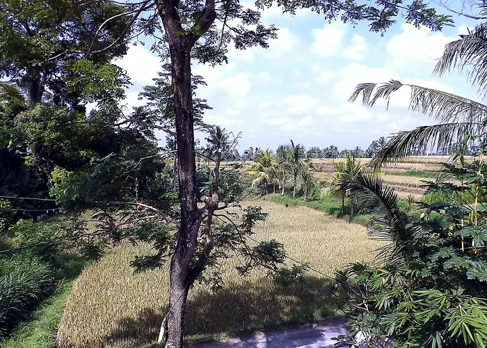 Séjour chez l'habitant Uma Nandhi Ubud *
