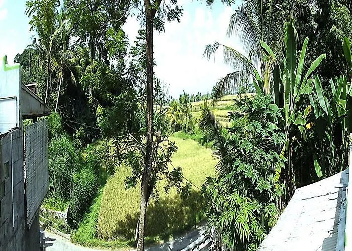 Uma Nandhi Ubud * Tegallalang (Bali)