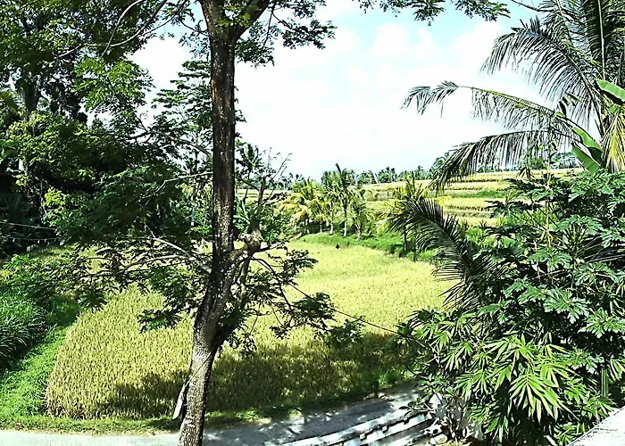 Uma Nandhi Ubud * Tegallalang (Bali)