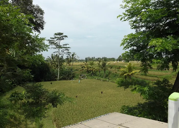 Uma Nandhi Ubud Tegallalang (Bali)